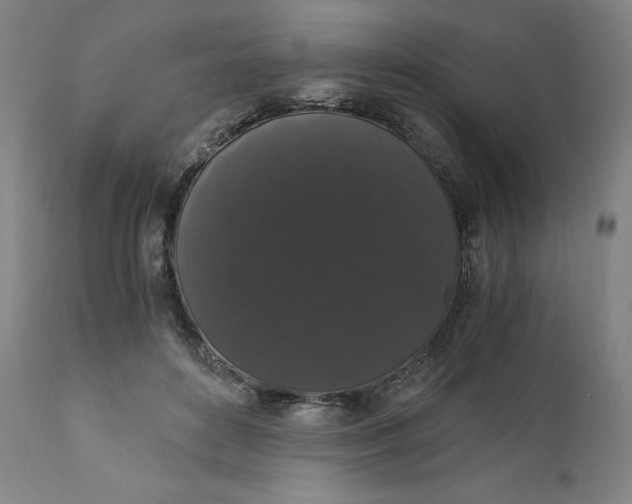 X0000110690504200907021937