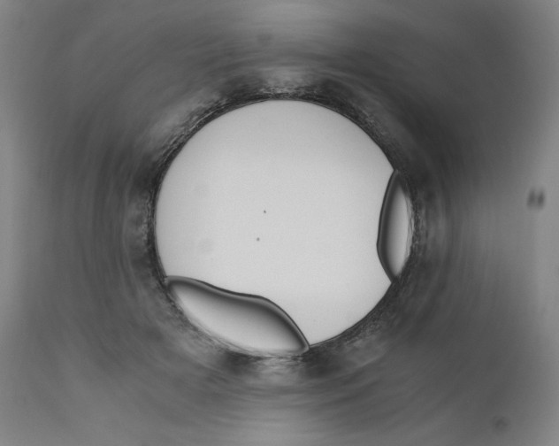 X0000110690505200907021937