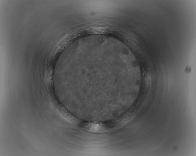 X0000110690507200907021937