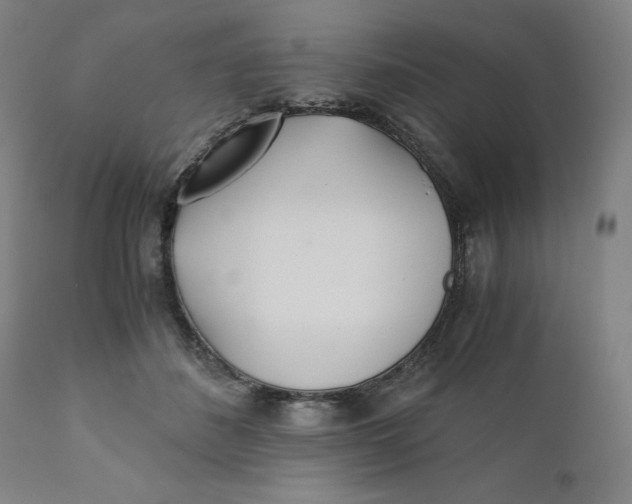 X0000110690508200907021937