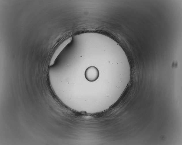 X0000110690509200907021937