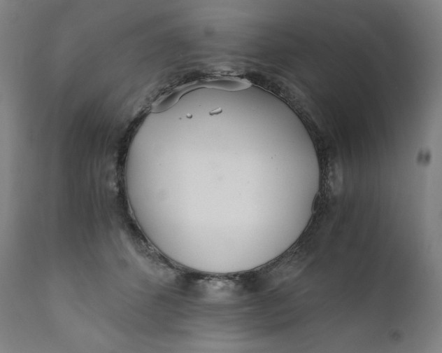 X0000110690512200907021937