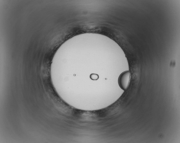 X0000110690515200907021937