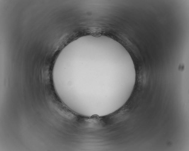 X0000110690516200907021937