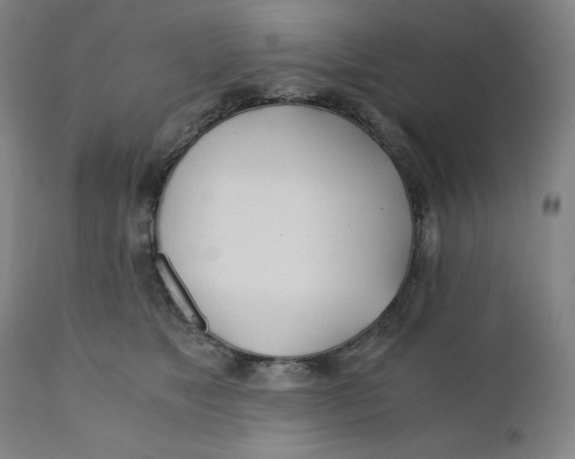 X0000110690517200907021937