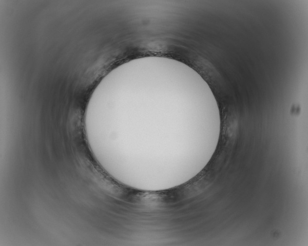 X0000110690518200907021937