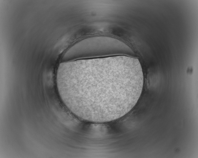 X0000110690520200907021937