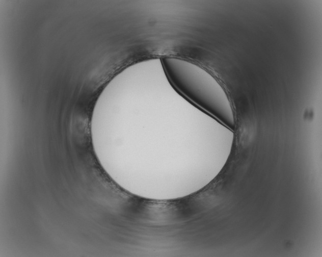 X0000110690521200907021937