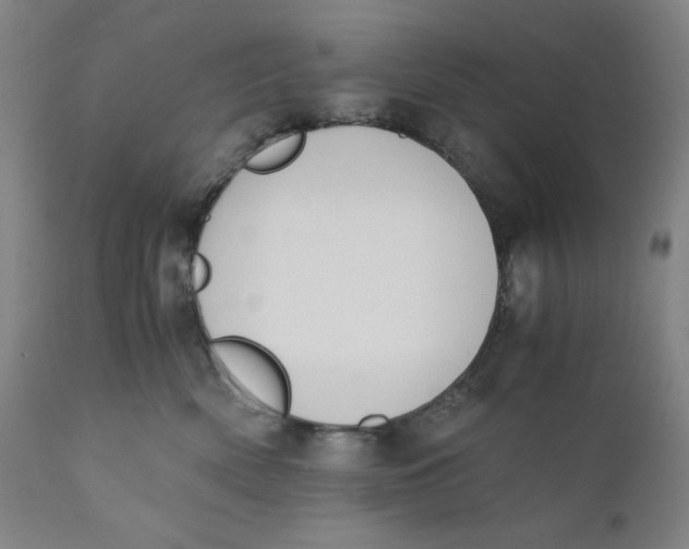 X0000110690522200907021937