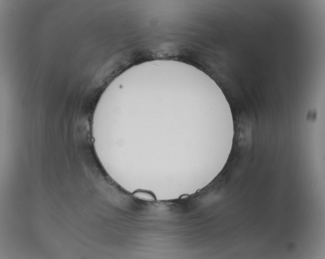 X0000110690523200907021937