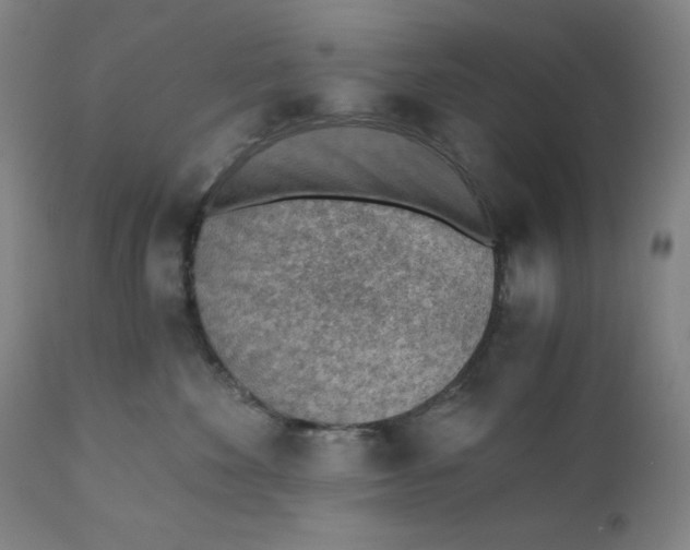 X0000110690524200907021937