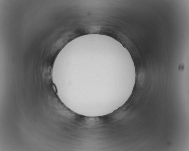 X0000110690525200907021937