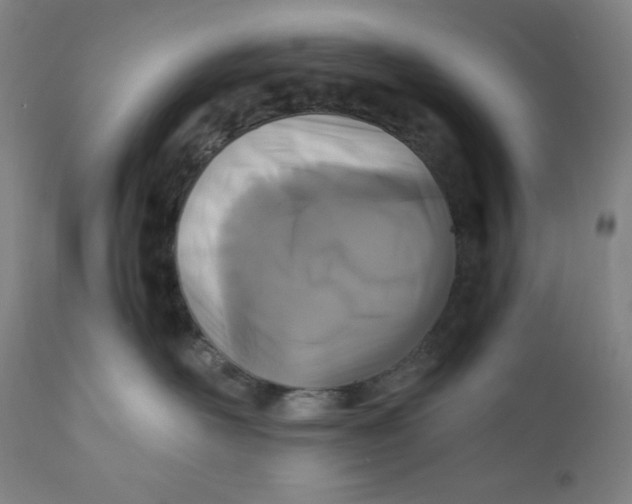 X0000110690526200907021937