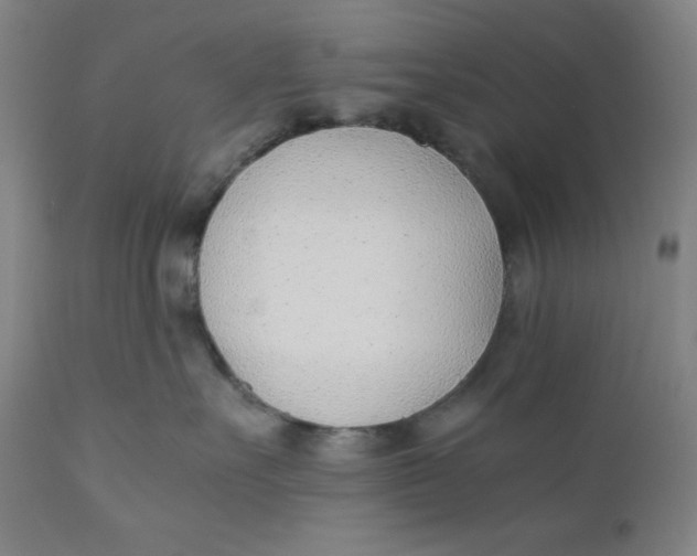 X0000110690527200907021937