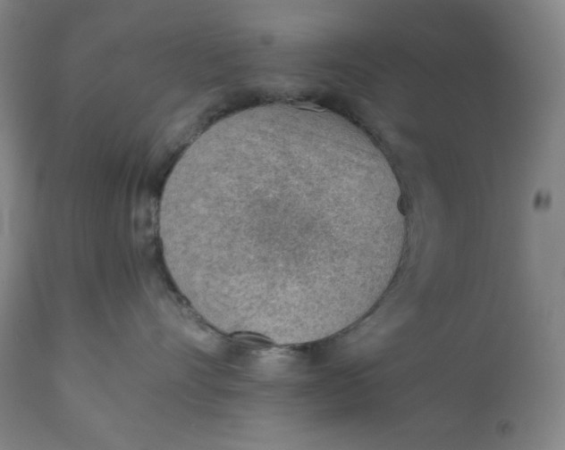 X0000110690528200907021937