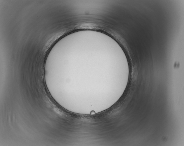 X0000110690529200907021936