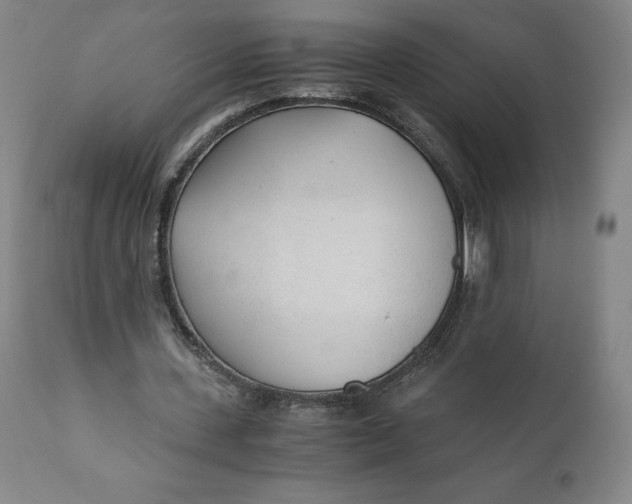 X0000110690531200907021936