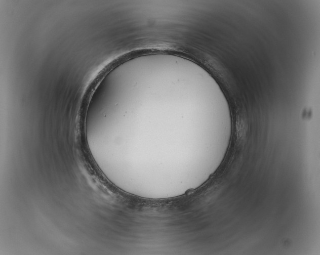 X0000110690532200907021936