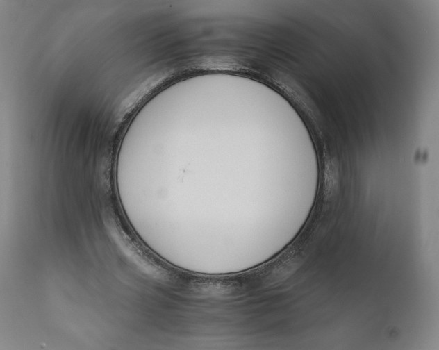 X0000110690533200907021936