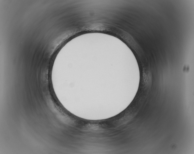 X0000110690534200907021936