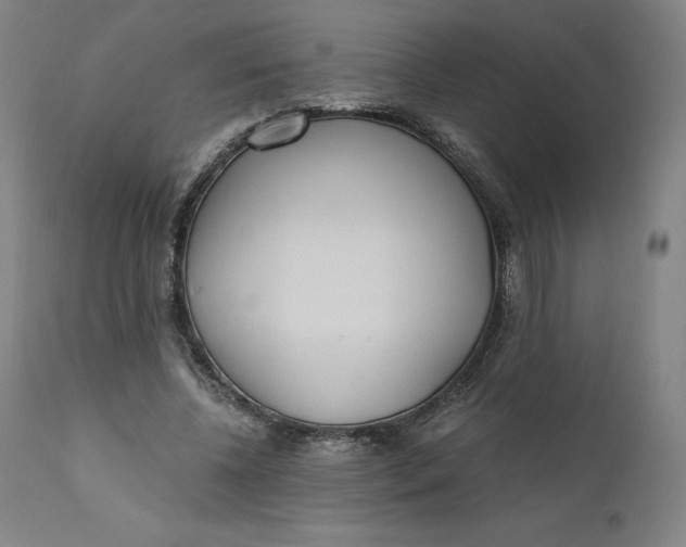 X0000110690540200907021936