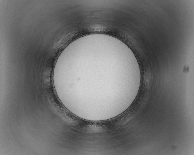 X0000110690545200907021936