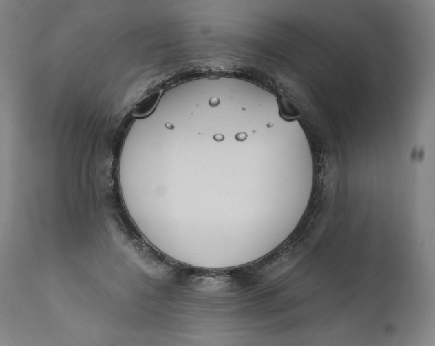 X0000110690548200907021936