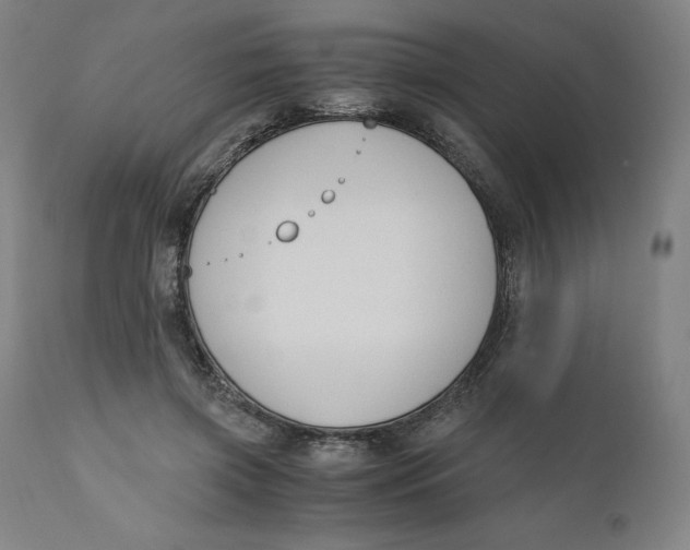 X0000110690549200907021936