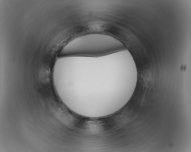 X0000110690556200907021936