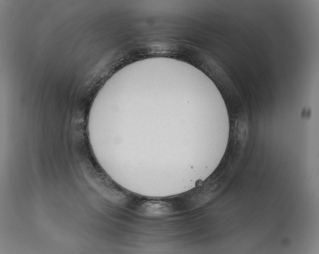 X0000110690557200907021936