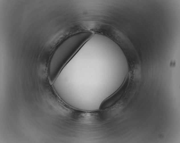 X0000110690558200907021936