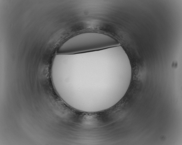 X0000110690560200907021936