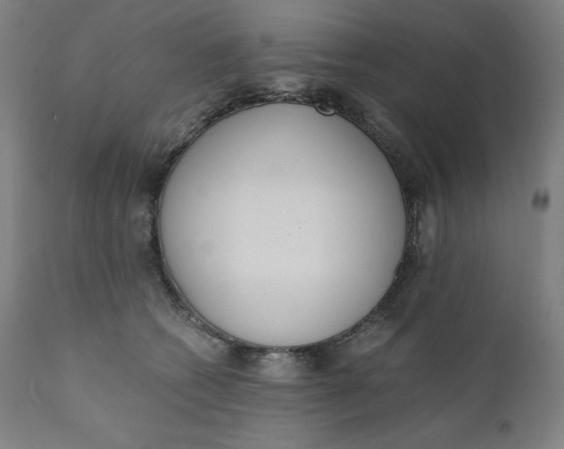 X0000110690562200907021936