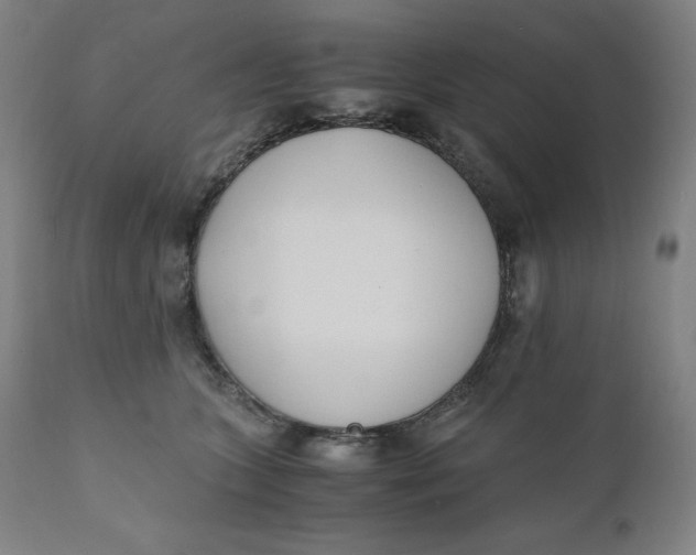 X0000110690563200907021936