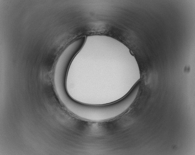 X0000110690564200907021937