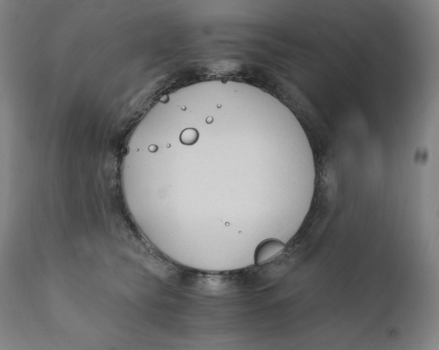 X0000110690565200907021937