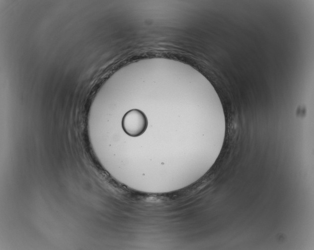 X0000110690566200907021937