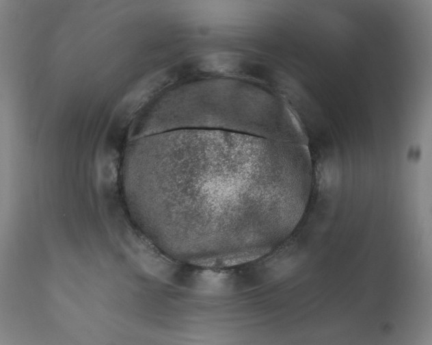 X0000110690570200907021937