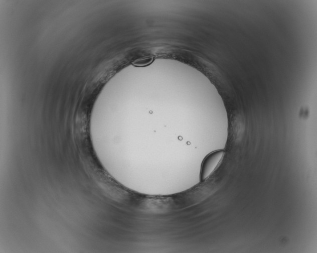 X0000110690571200907021937