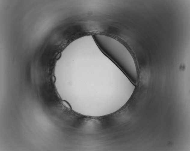 X0000110690572200907021937