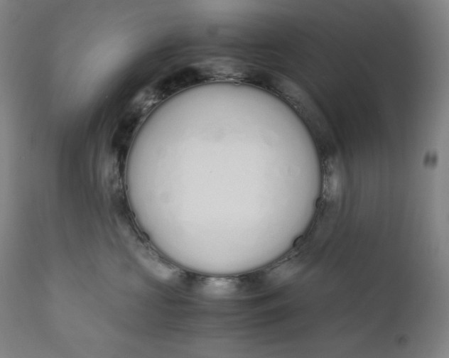 X0000110690573200907021937