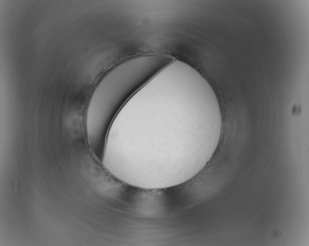 X0000110690576200907021937