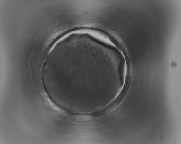 X0000110690577200907021936