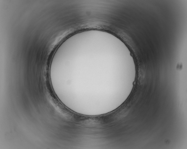 X0000110690578200907021936