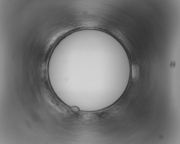 X0000110690579200907021936