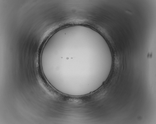 X0000110690582200907021936