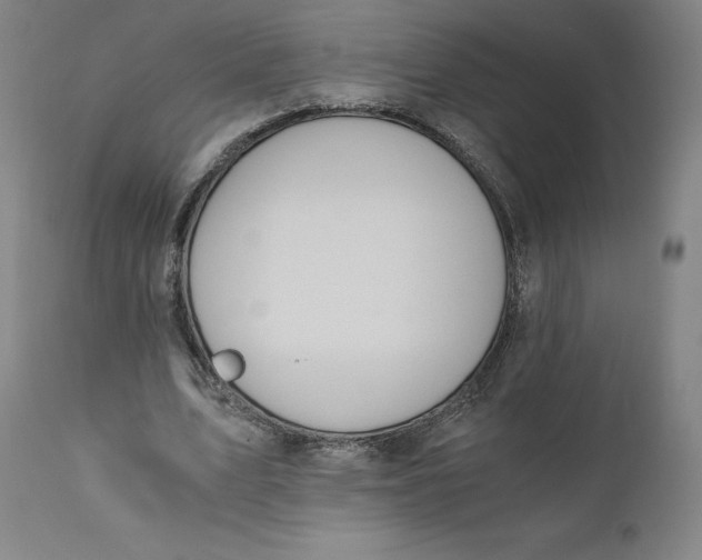 X0000110690583200907021936