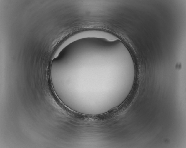 X0000110690585200907021936