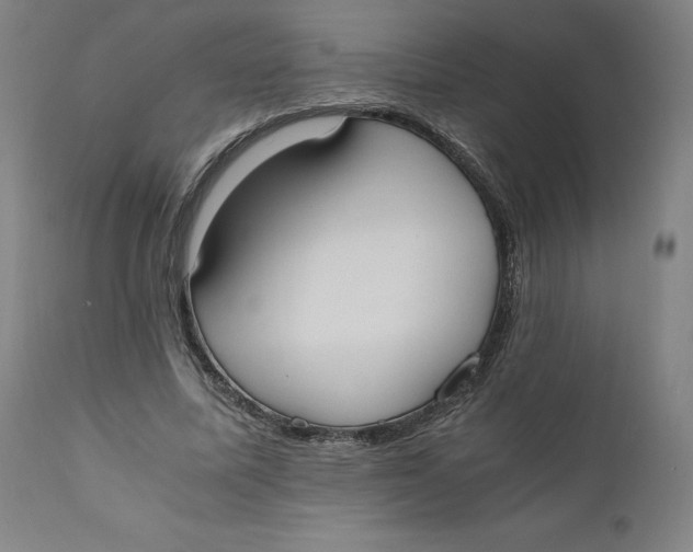 X0000110690587200907021936