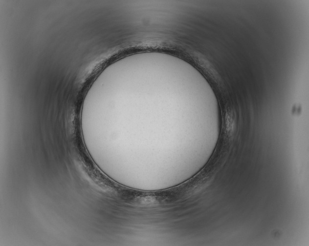 X0000110690588200907021936